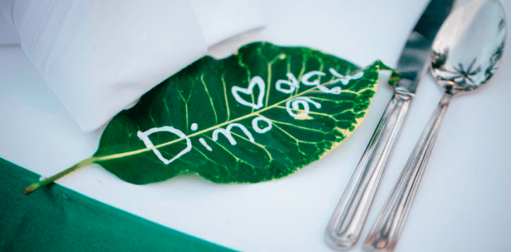 screen-shot-2017-02-25-at-3-51-53-pm