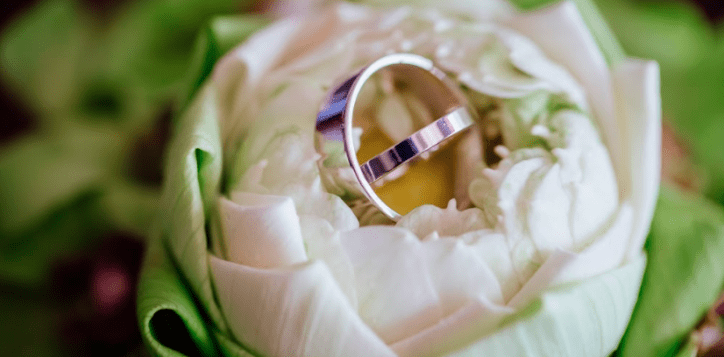 screen-shot-2017-02-25-at-5-12-48-pm