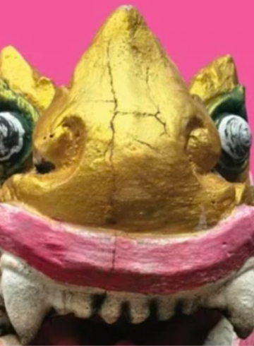 meet-the-author-nicholas-coffills-book-launch