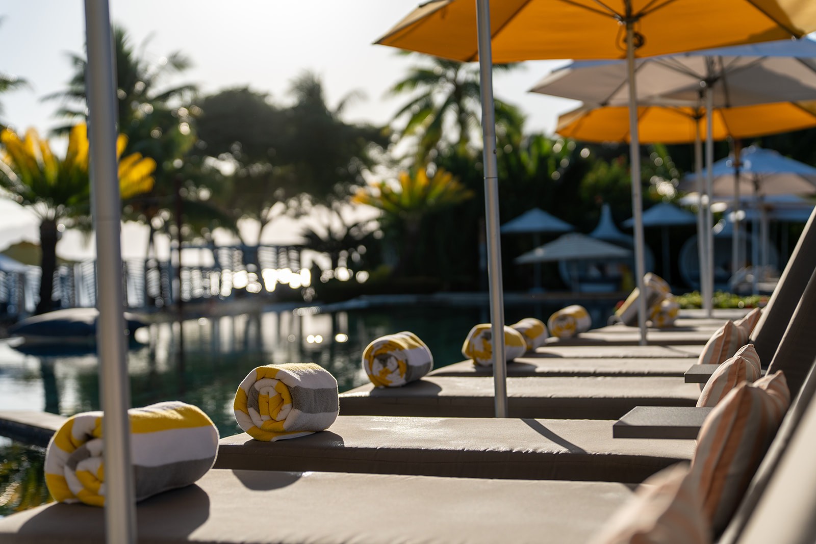resort-updates