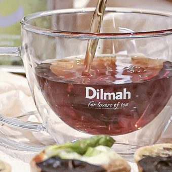 dilmah-hi-tea-featuring-pipiltin-cocoa