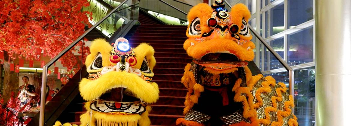 Lion Dance Performance