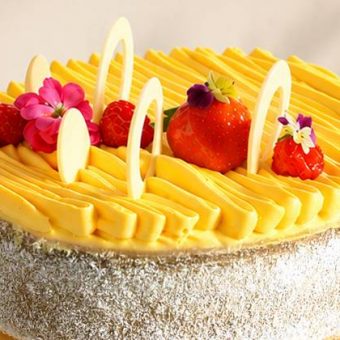 tiramisu-tropicale