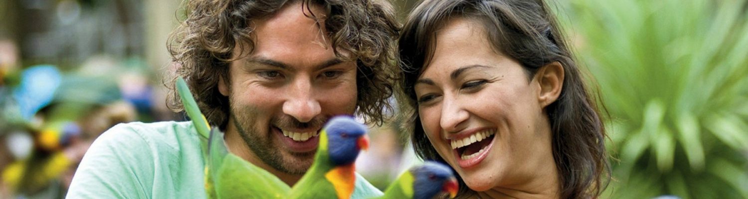 Currumbin Wildlife Sanctuary