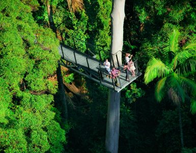 gold-coast-hinterland