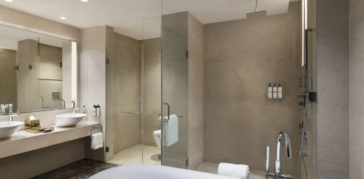 1544-superior-suite-bathroom-low-res