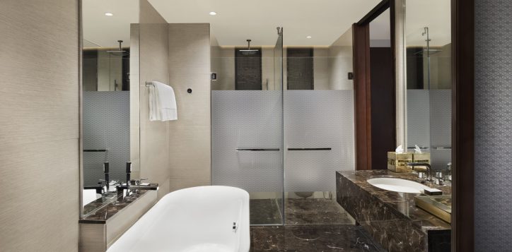 1457-twin-room-bathroom