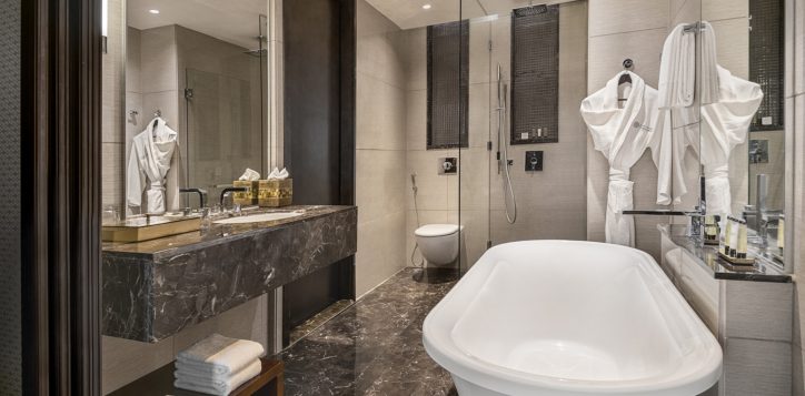 pullman-room-washroom