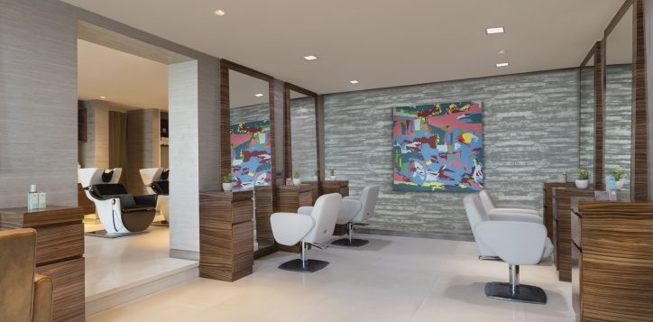 salon-2