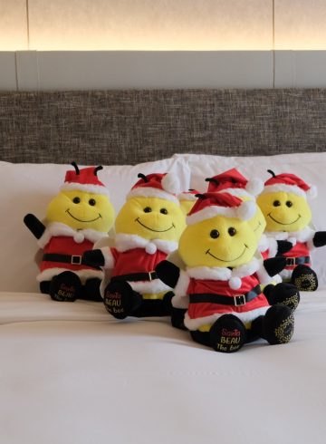 time-to-celebrate-a-magnifique-christmas-getaway