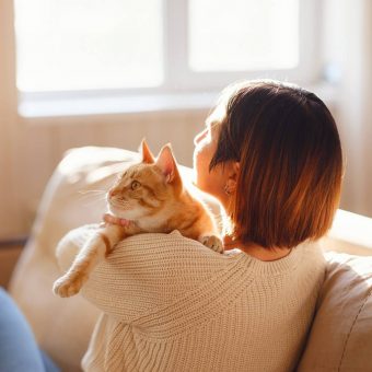purr-fect-staycation