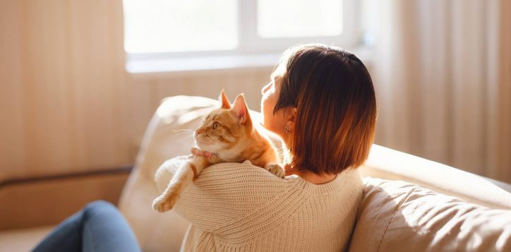 purr-fect-staycation