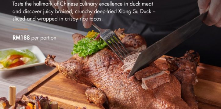08-xiang-su-duck-flyer_folder