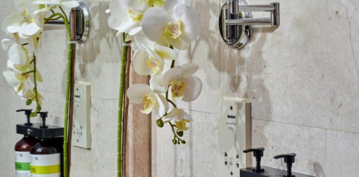 05-pklcc-regency-suite-magnifying-mirror-bathroom-body-lotion-and-hand-soap-in-dispenser-sustainable