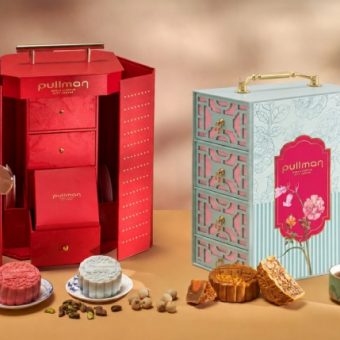 homebound-mooncakes