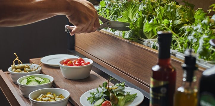 25-hydroponic-salad-bar