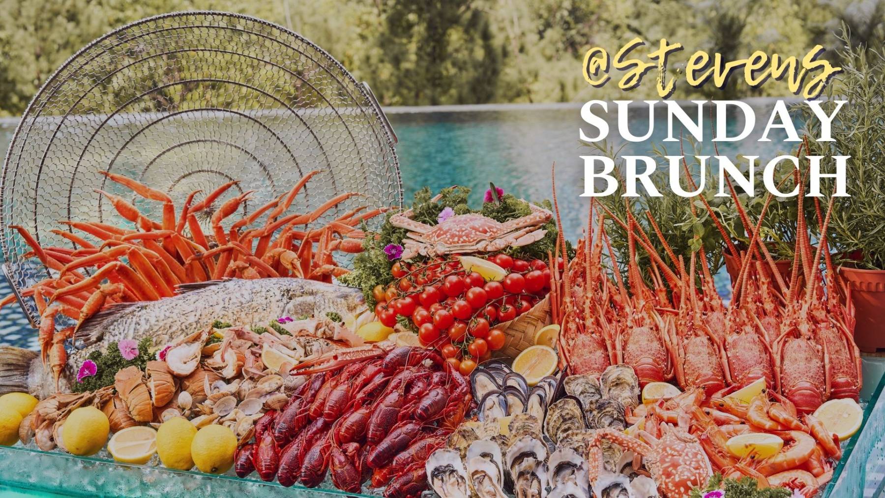 @stevens sunday Brunch_infinity pool_buffet_novotel singapore on stevens