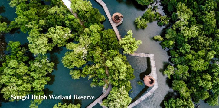 sungei-buloh-wetland-reserve