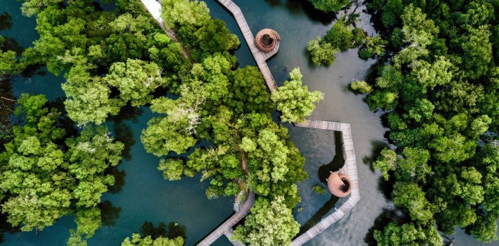 sungei-buloh-wetland-reserve-2