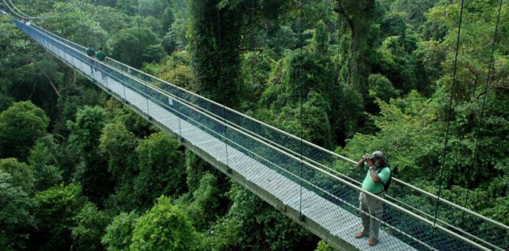 macritchie-reservoir