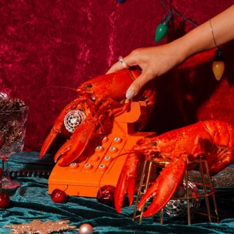 oh-shucks-its-lobstermanias-birthday