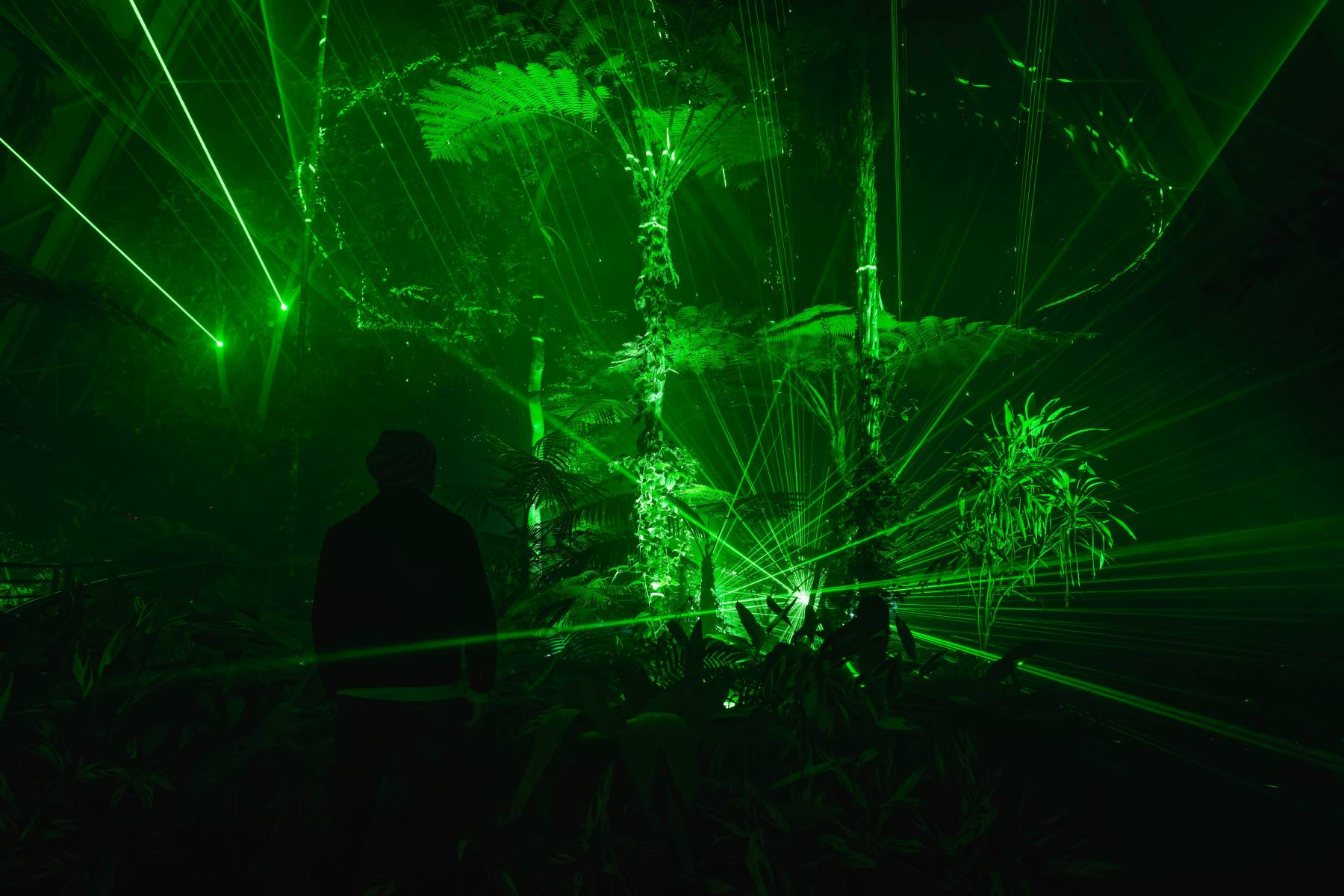 Illuminate Adelaide 2026