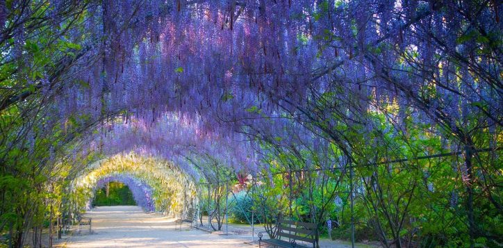 adelaide-botanic-gardens
