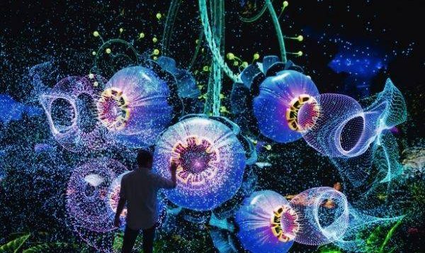 illuminate-adelaide-2026