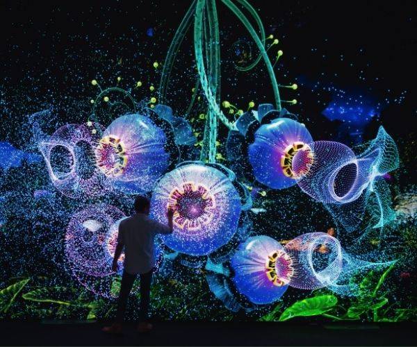 illuminate-adelaide-2026