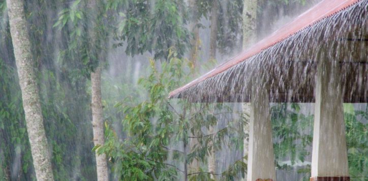 heavy-tropical-scene-of-raining-in-da-nang-by-a-small-shelter