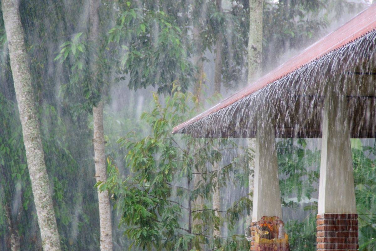 heavy tropical scene of raining in da nang by a small shelter