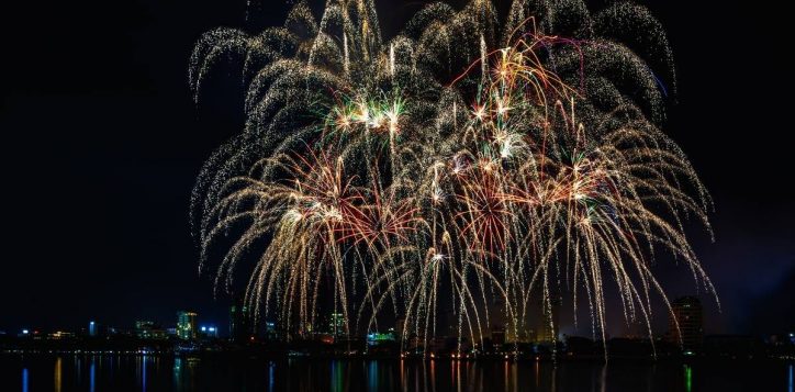 danang-international-firework-festival-lights-up-the-night-sky