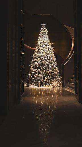 %e5%9c%a3%e8%af%9e%e8%8a%82%e5%a5%97%e9%a4%90%e6%99%9a%e5%ae%b4