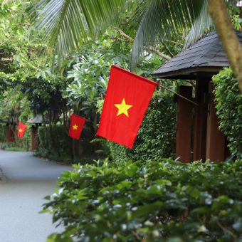 cam-nhan-tinh-than-ngay-viet-nam-thong-nhat