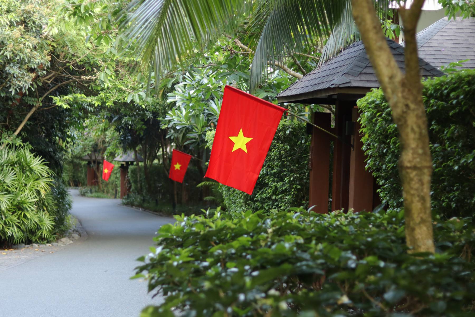 cam-nhan-tinh-than-ngay-viet-nam-thong-nhat