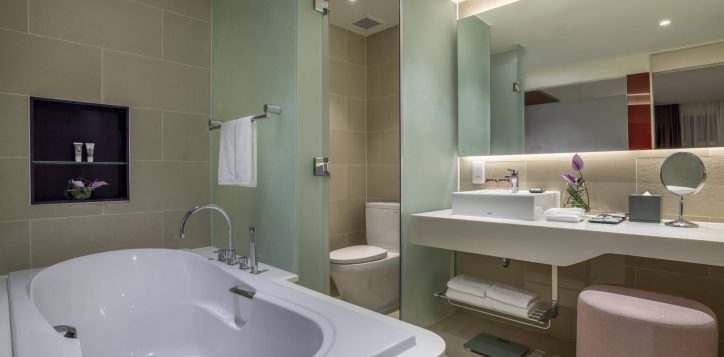 bathroom-dlx-suite