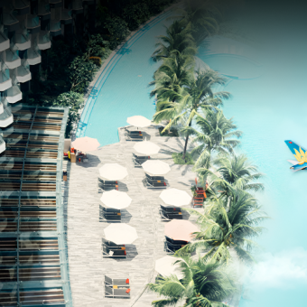 van-dam-nang-niu-cung-accor