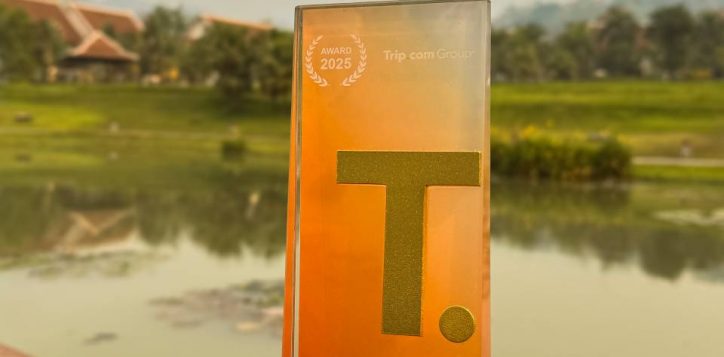 top-engaged-chain-award-from-trip-com-2025