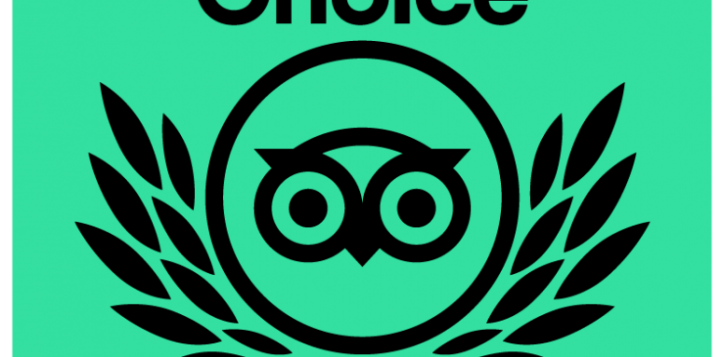 tc_2021_botb_l_green_bg_rgb-01