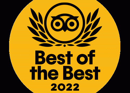 animation-tc_tcbotb_2022