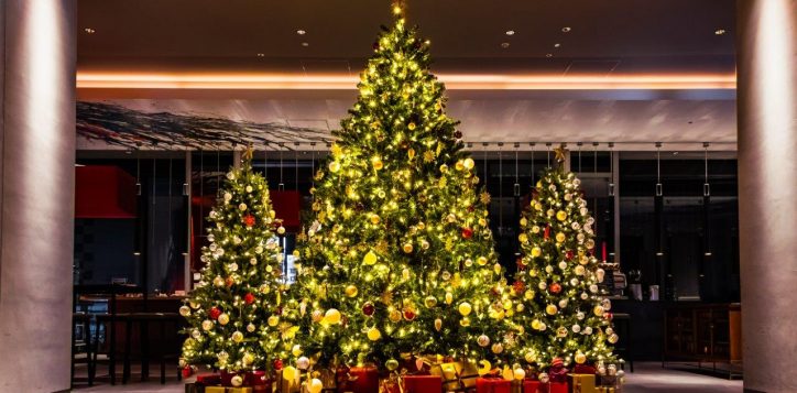 20241104_pullmantamachi-01-4