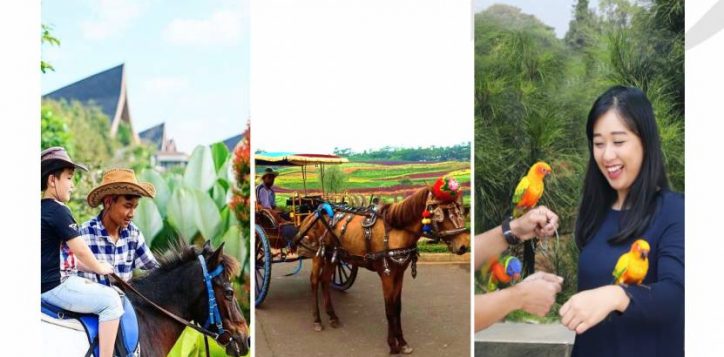 july-2020-extra-activities-program-2020-update_page_6