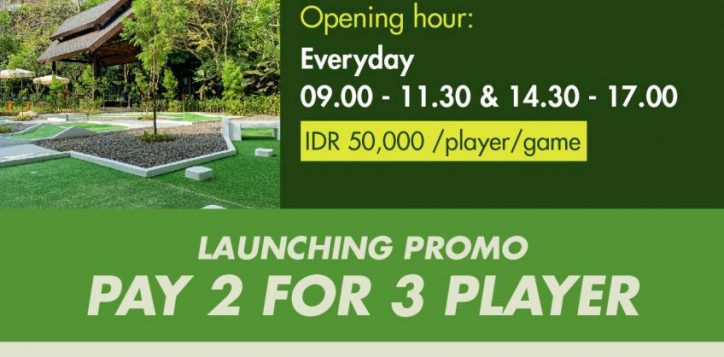 mini-golf-flyer-everyday