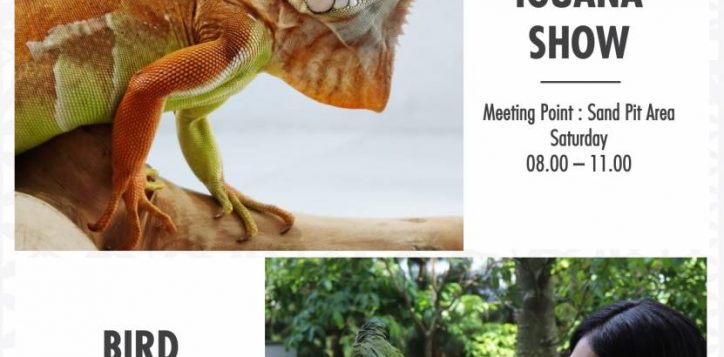 slide3-59