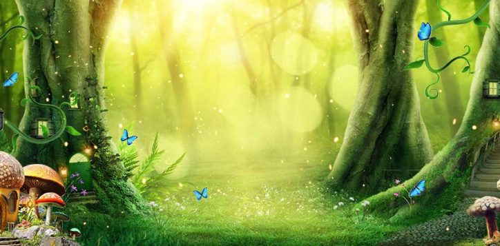 enchanted-wonderland-back-cover-top-banner-page-2