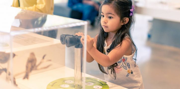 adobestock_300856525