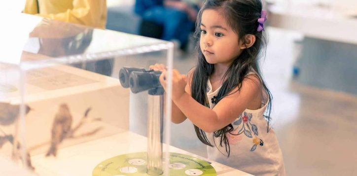 vacation-at-museum