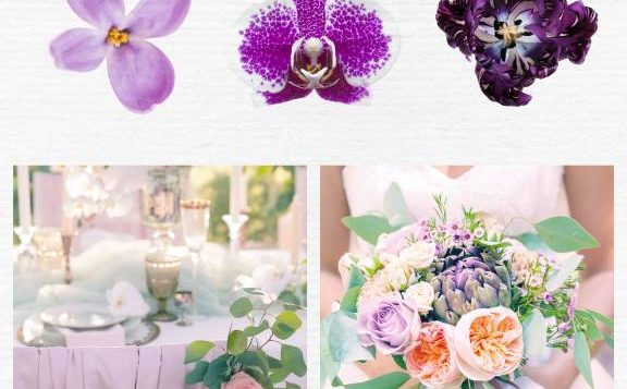 color-psychology-purple
