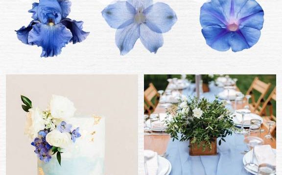 color-psychology-blue