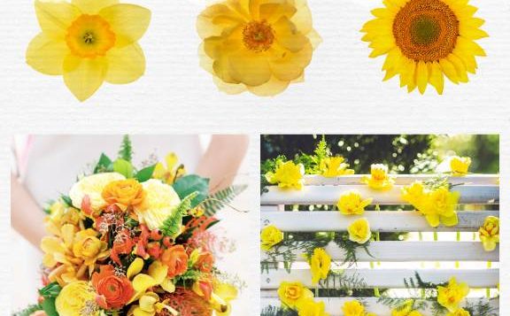 color-psychology-yellow